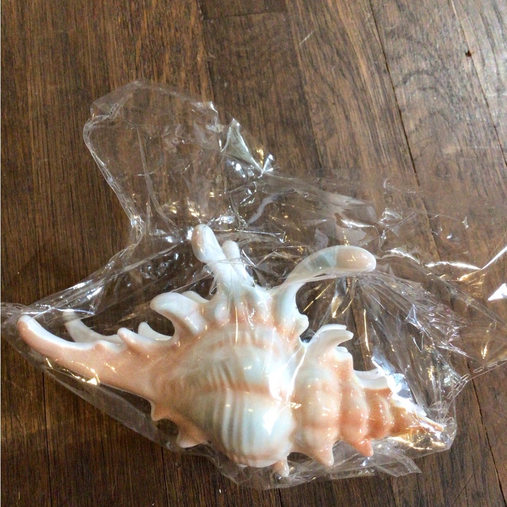 NEW! Set of 3 Shell Hair Claws in Cream, Beige & Coral - Picture 4 of 5